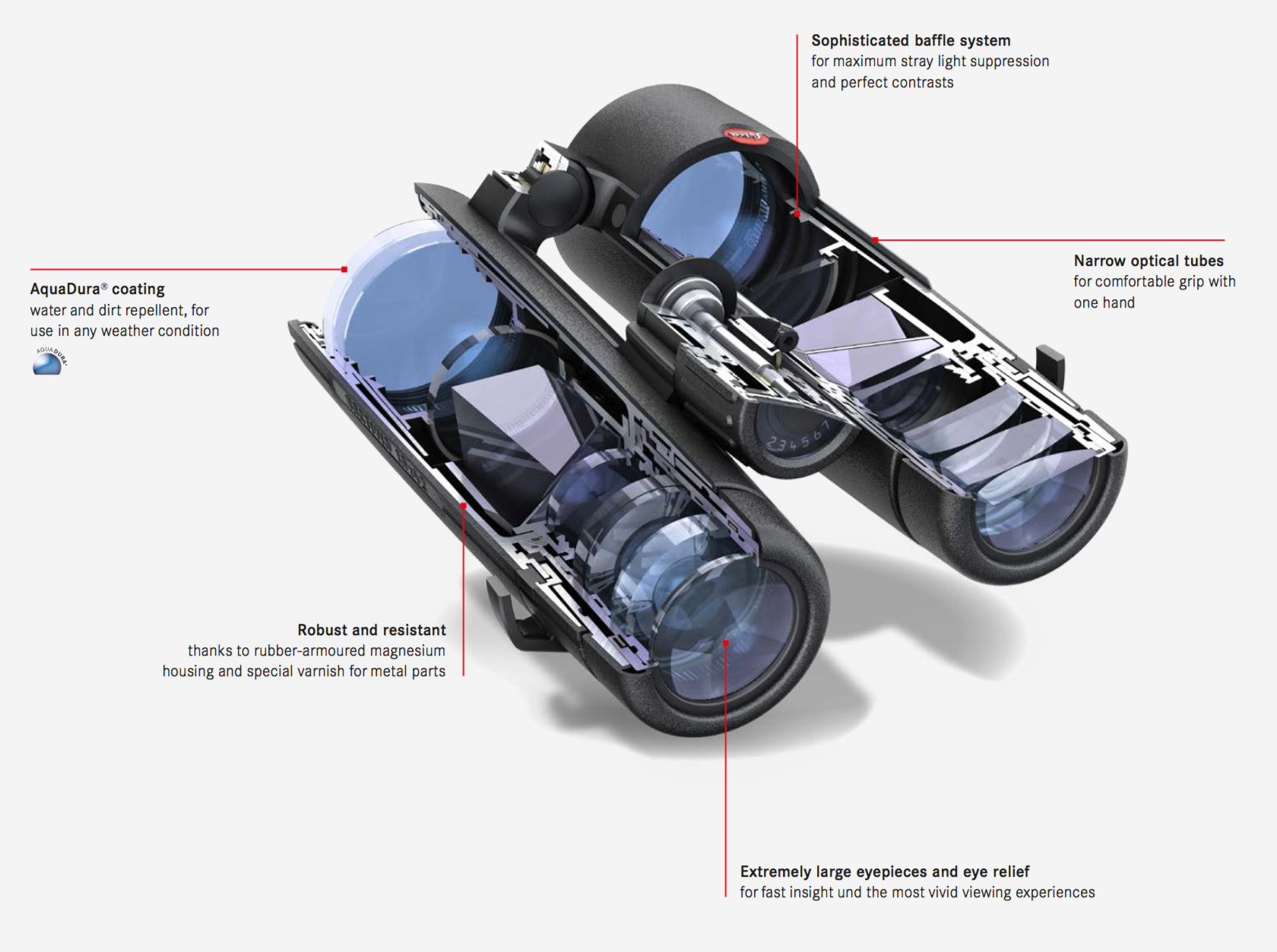 Noctivid Cutaway