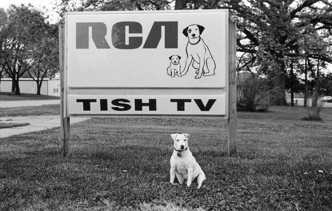 RCA Victor Dog