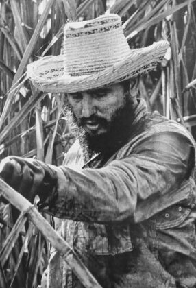 6 c 1959 roberto salas