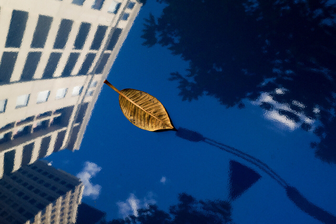 North sydney 2019