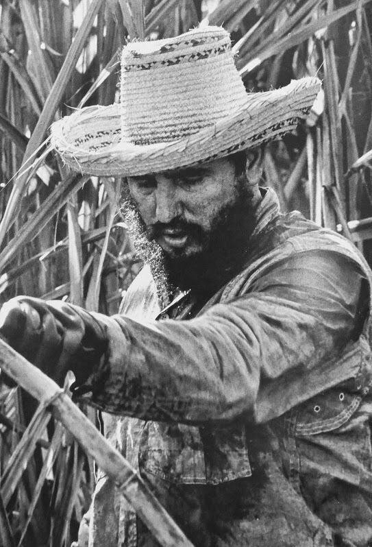 6 c 1959 roberto salas