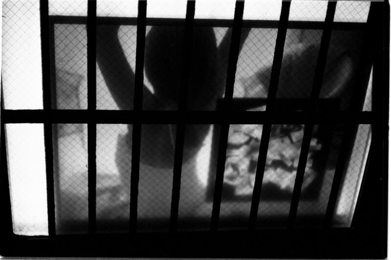 Barred view small