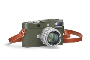 20235 M11 P safari hero Hi Res