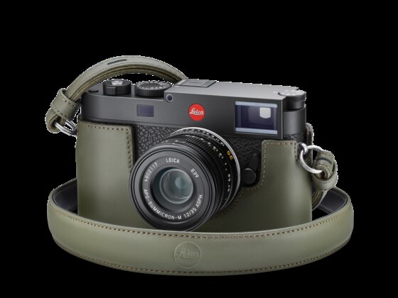 Pm 114941 24034 Protektor front olive transparent