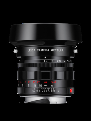 11713 Summilux M 50 classic blk f1 4 ASPH upright lenshood