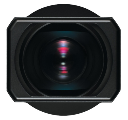 Summilux M 21mm lens view