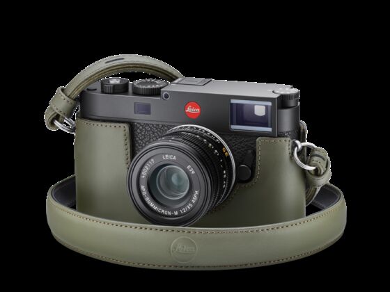 Pm 114941 24034 Protektor front olive transparent