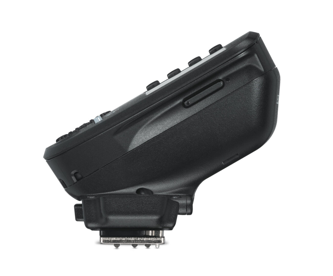 14626 SF C1 solo RIGHT RGB